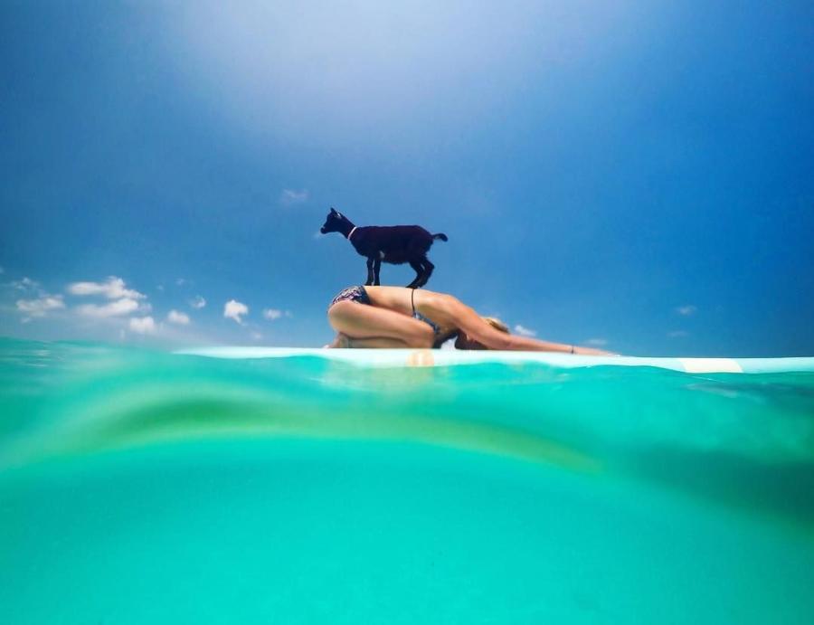 Instagram Yogis