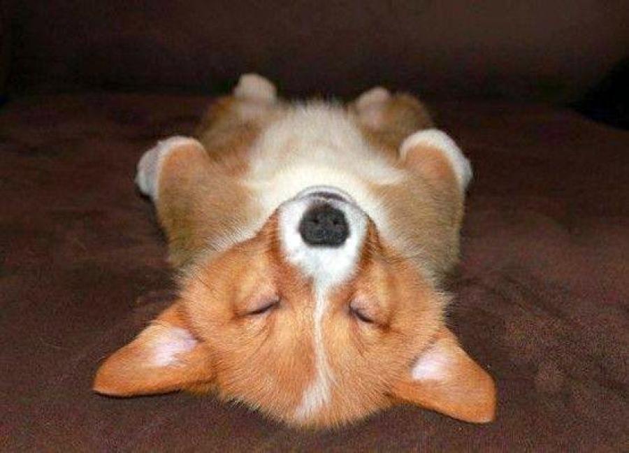 Savasana