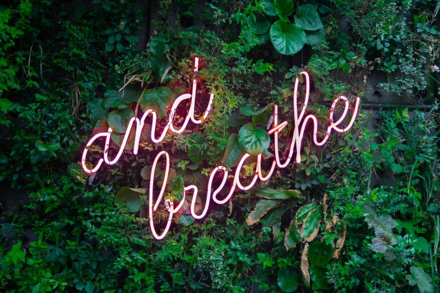 Top tips to stay calm over the festive season